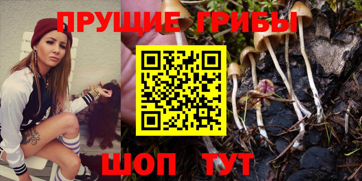 Галлюциногенные грибы GOLDEN TEACHER  наркота  Ирбит  Вход с VPN 
