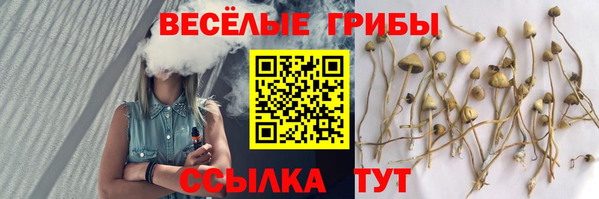 Галлюциногенные грибы мицелий Ирбит